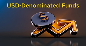 Unlock Global Investment Opportunities with USD-Denominated Funds